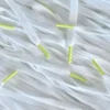 Colored Tips Nike Laces Volt Veters 1