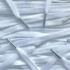 Colored Tips laces White Metallic Silver veters