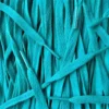Nike laces Teal flat
