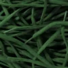 Ovale veters Dark Green